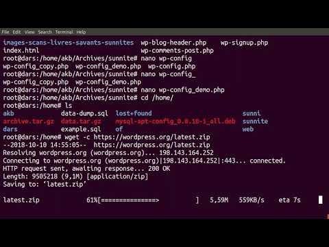 Installer VPS 2 WordPress Nginx Mysql PHP Postfix Dovecot OpenDkim SSL