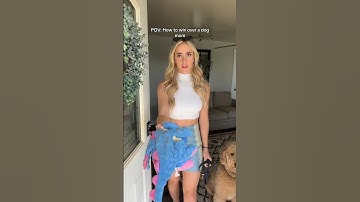 Part 2 | Success guaranteed #dogcomedy #dog #dogmom #dating