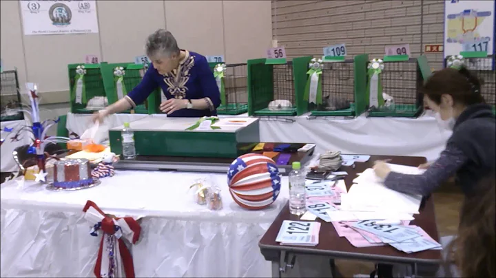 CFA 50th Anniversary Cat Show in Japan -AB-Carolyn...