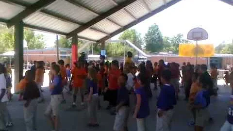 lulu stevens  field day