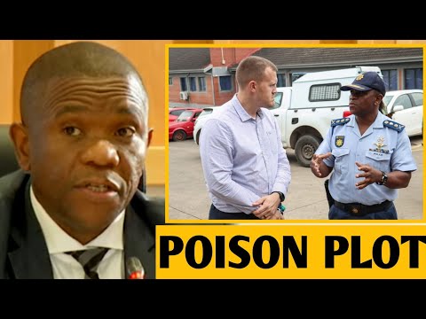 Mkhwanazi Nearly K D At The Madlanga Commission After Greeting A Stranger Poison Plot