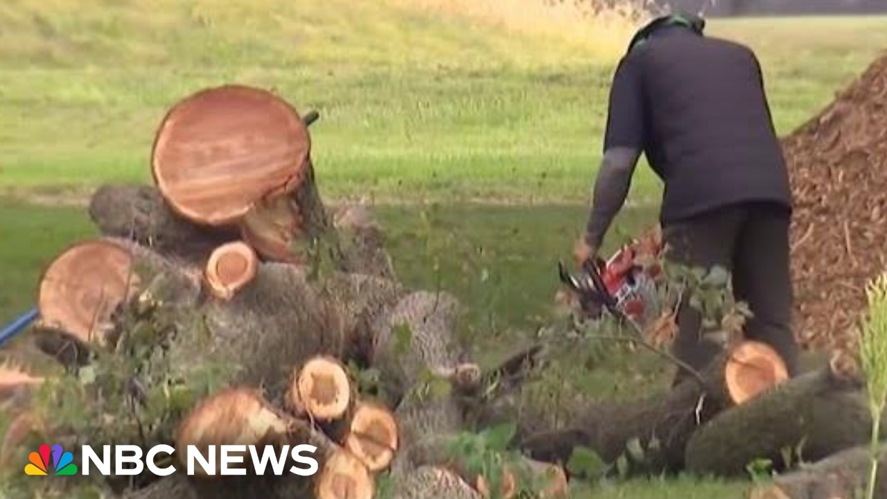 DOJ tells judge that golf course won’t close, despite Trumps’s insistence after trees cut down DOJ tells judge that golf course won’t close, despite Trumps’s insistence after trees cut down