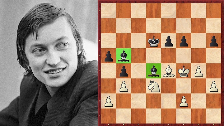 Шахматы. ДВА СЛОНА Анатолия Карпова!