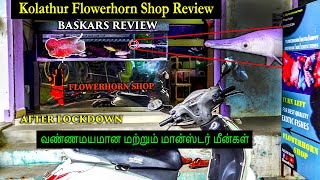 Kolathur Vlog After Lockdown | Flowerhorn Shop Review With Price | கொளத்தூர்