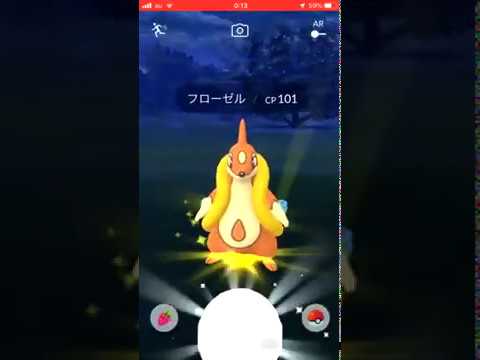 フローゼル入手で図鑑登録 Youtube フローゼル入手で図鑑登録 Youtube