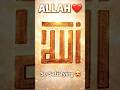 ALLAH Calligraphy 😍✨ | Satisfying Acrylic Art | سبحان الله 💖 #Shorts