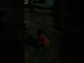 rajkumar dialogs night running cute bhanga #shorts video