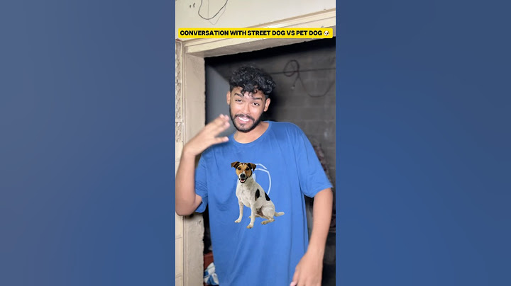 Conversation with street dog vs pet dog 🐶 | #shorts #youtubeshorts #comedyshorts #trendingshorts