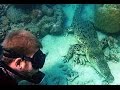 Diving with Crocodiles (Watch in HD)