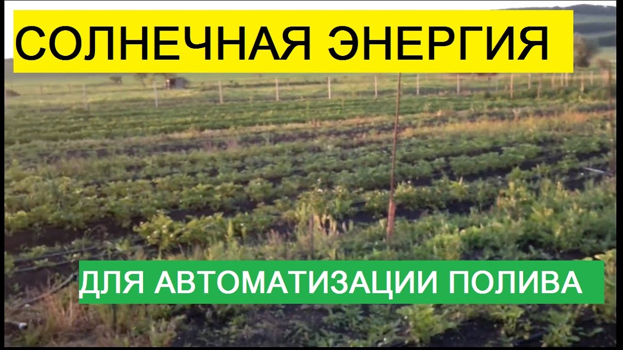 ⁣Альтернативная энергия для водоснабжения / Автоматический полив из скважины.