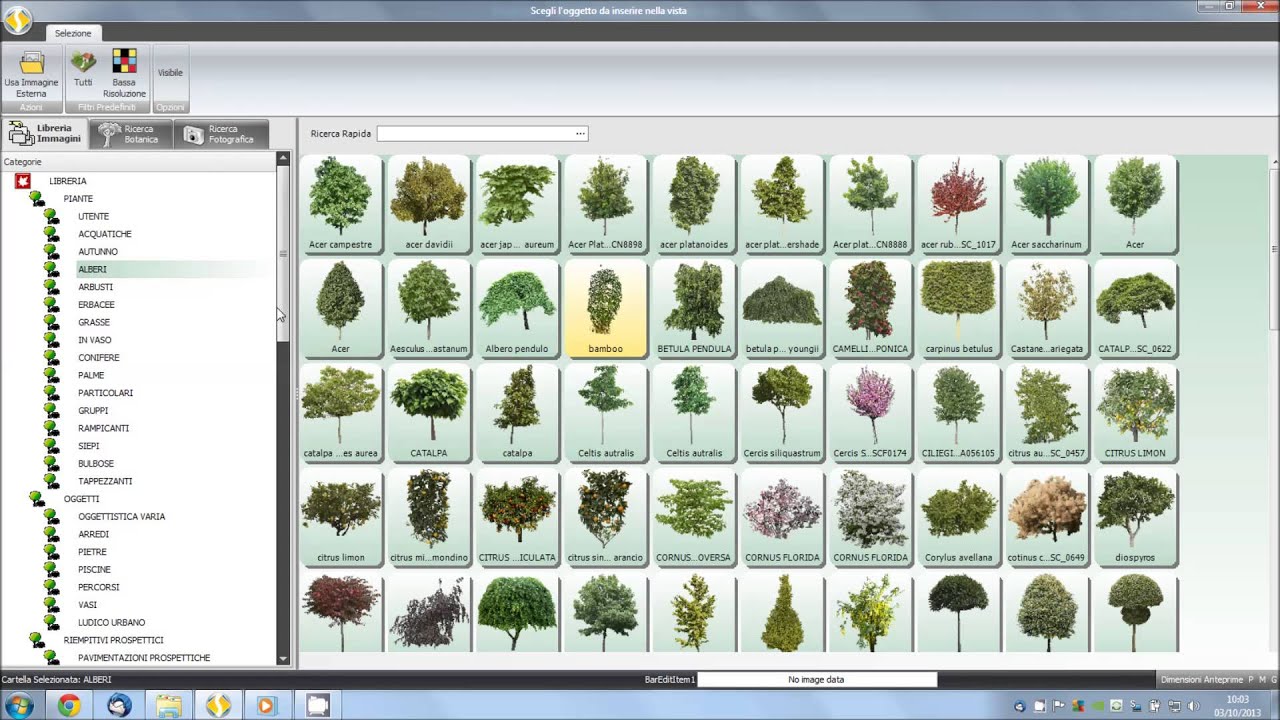 Florinfo sevis progettazione giardini descrizione database e ... Progettare un giardino gratis