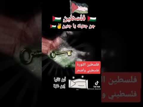 اغنية جن جنونة يا جنين
