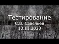 С.В. Савельев - Тестирование