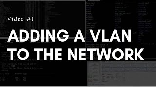 #2 Adding a VLAN to the network Net Worth