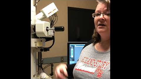 Loading the TEM holder