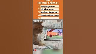 TOP 5 DEMIK ANIMAL #fyp #shorts #shortvideo #short #hewanlucu #dubbing @DemikAnimal2.0