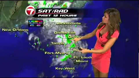 WSVN Weather Julie Durda hot Pink Dress 8/9/2011