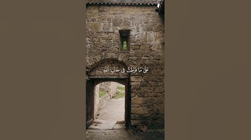 تلاوة عذبة للقارئ محمد هشام #quran