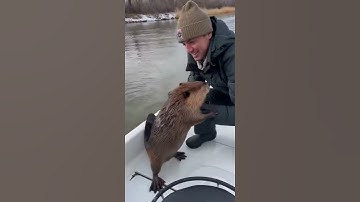 🐍 Animal SAVED From Predator!