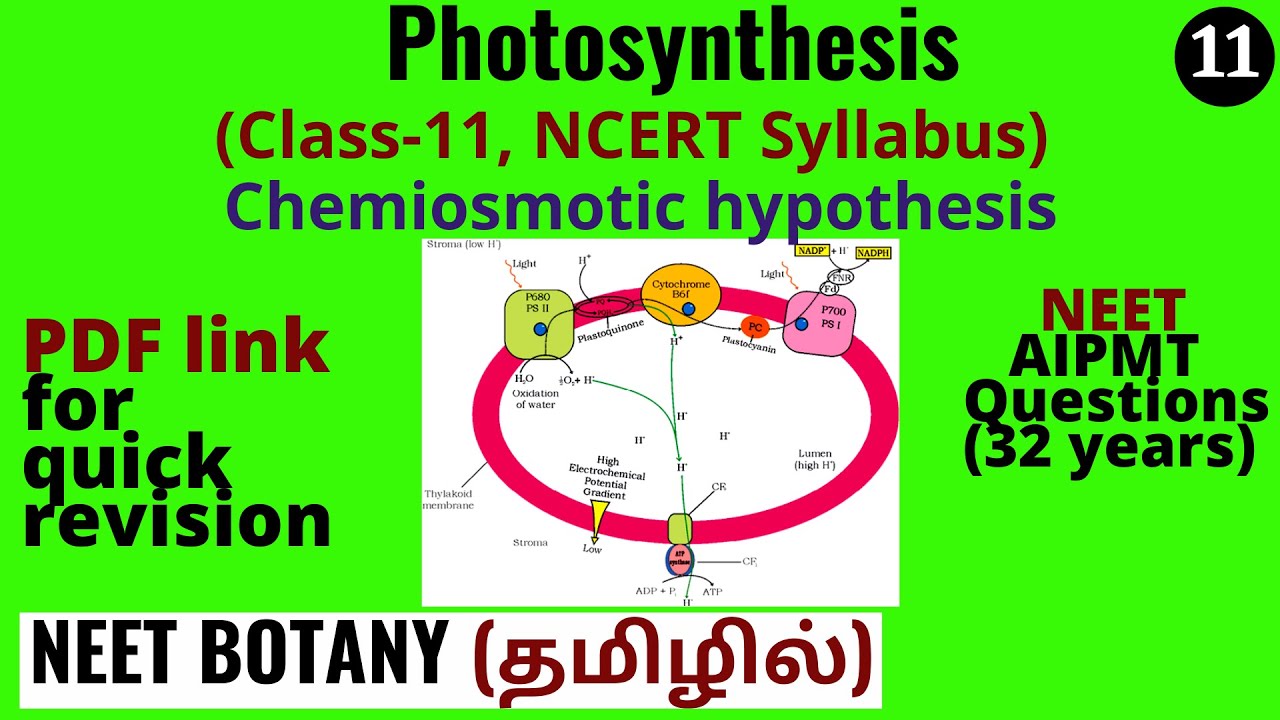 chemiosmotic hypothesis pronunciation