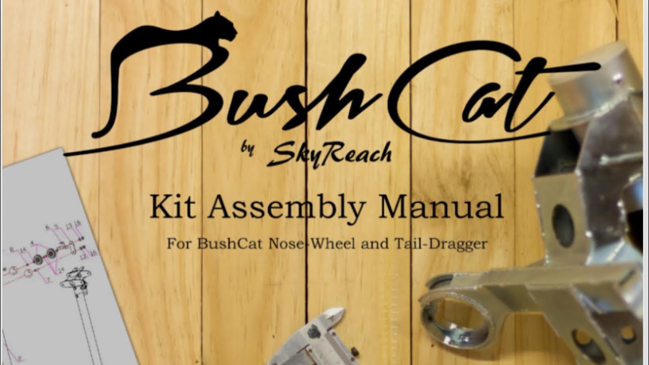 Bush Cat Brothers, Build Session #2 - N552SB - YouTube