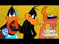 Looney Tuesdays | Daffy Duck, the Looniest of Them All | Looney Tunes | WB Kids