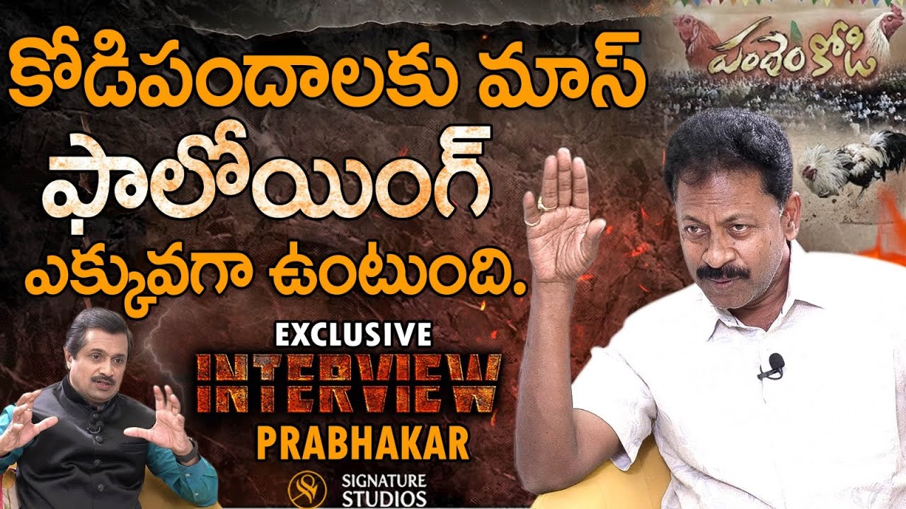 కోడిపందాలకు మాస్ ఫాలోయింగ్ ఎక్కువగా ఉంటుంది. Prabhakar | @Signature Studios