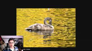 Friday Flickr Photo Critique #020