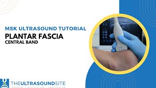 Musculoskeletal ultrasound tutorial - Plantar fascia , central band.