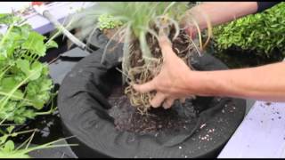 How to Make Floating Garden