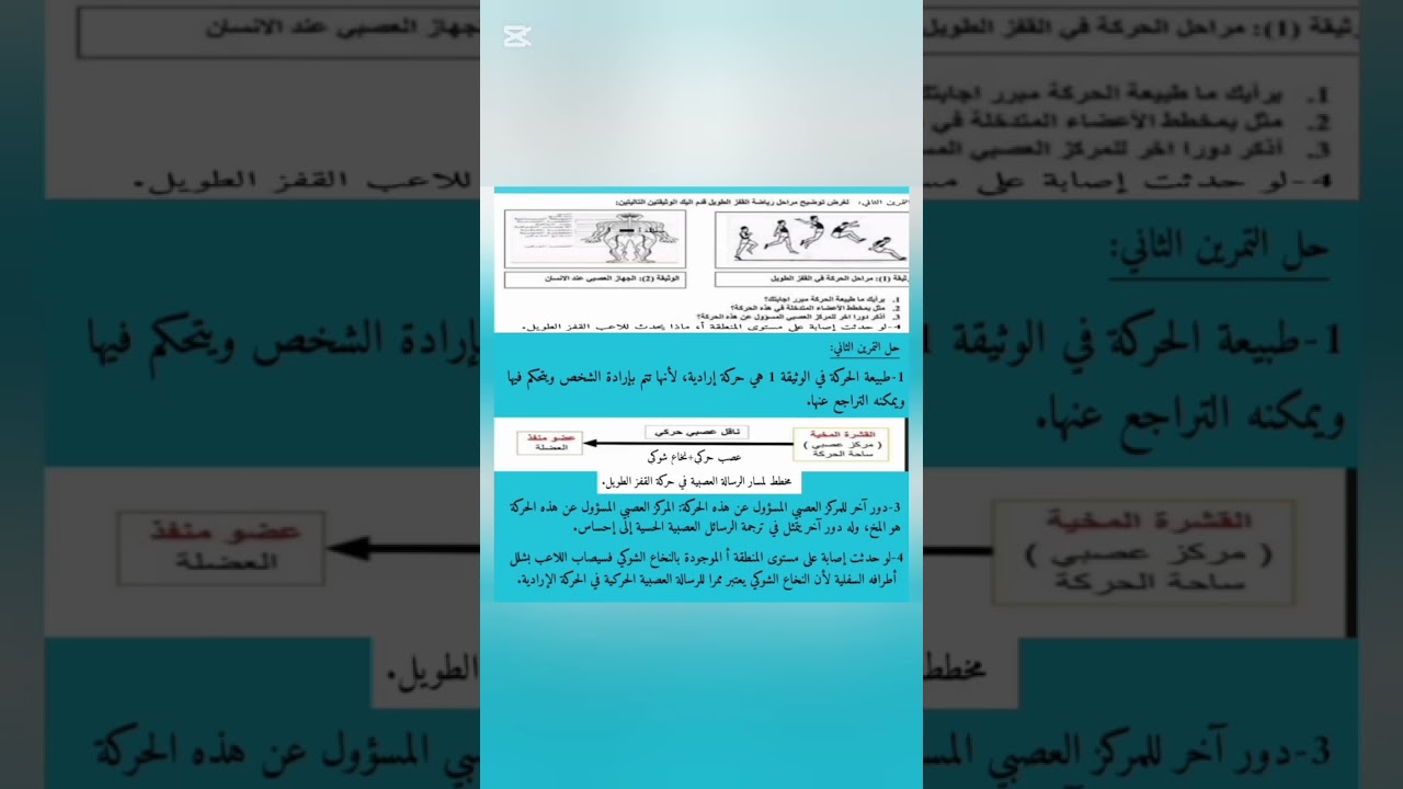 تمرين حول الحركة الإرادية رابعة متوسط