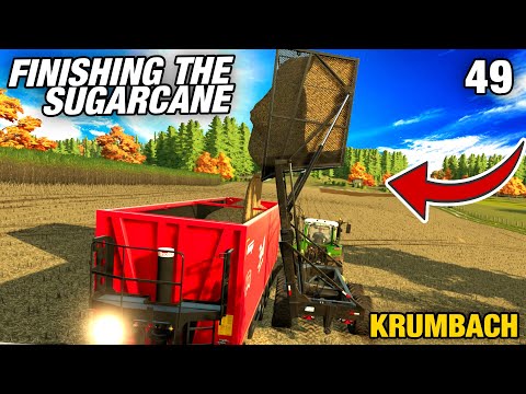 FINISHING THE SUGARCANE WITH SWEET RESULTS | Krumbach | Farming Simulator 22 - Episode 49