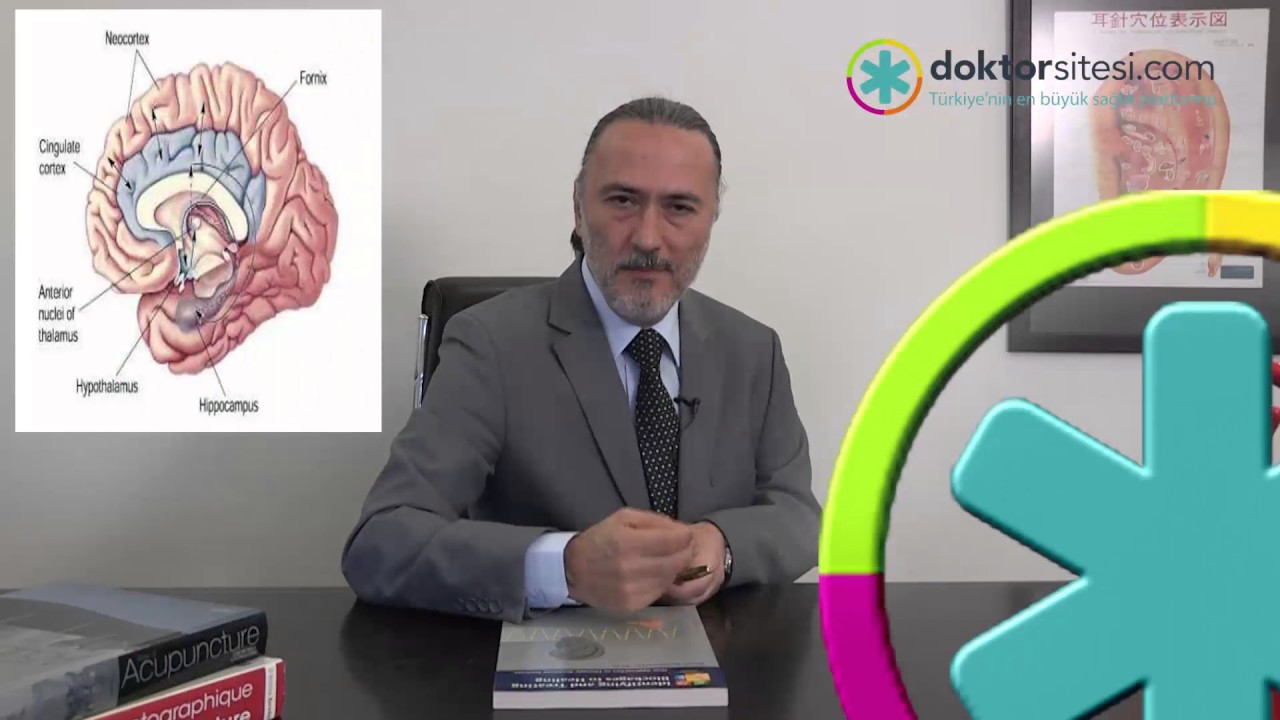 Limbik sistem nedir?