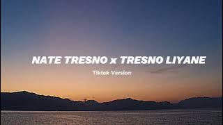 Veraliie x Northsle ft. Agiff - NATE TRESNO X TRESNO LIYANE | ACF Lyrics (Tiktok Version)