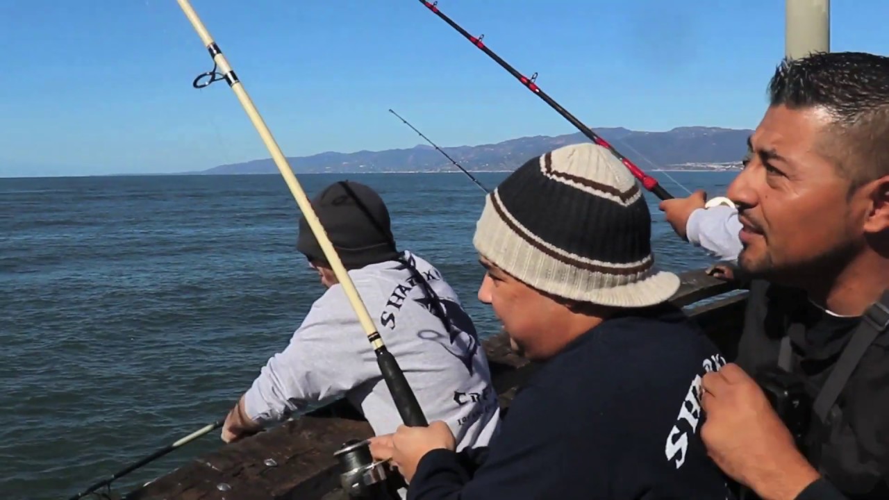 Reel Anglers Fishing Show Sharking Crew Trailer YouTube