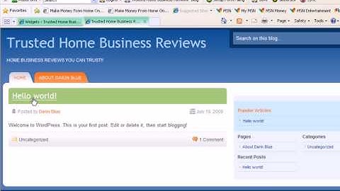 #13 Adding & Removing WordPress Widgets On Your Blog
