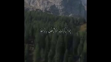 حالات واتساب القارئ محمد الحيدان سورة (الزلزال)