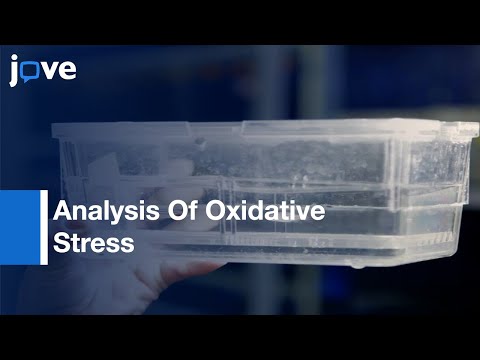 ვიდეო: როგორ გავზომოთ ოქსიდაციური სტრესი?