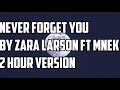 Never Forget You By Zara Larson FT MNEK 2 Hour Version