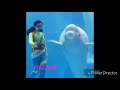 New whatsapp status by haji Whatsapp Status Video Download Free