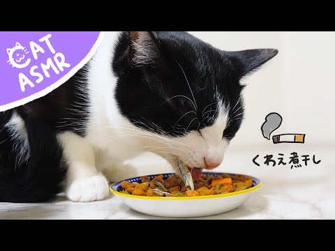 ?ASMR｜煮干しをくわえながらカリカリも食べる猫【咀嚼音】