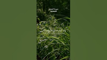 #سورة_السجدة للقارئ عبدالرحمن مسعد #quran