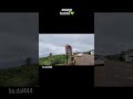 #shortvideos #travel #status #odisha #viralshorts