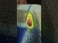 Best moonwalk I have ever seen #moonwalk #dance #best