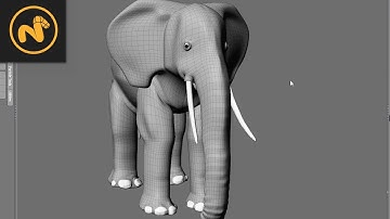 Organic Modeling: Elephant, made in Modo