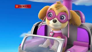 PAW Patrol Pups Save Ryder Right Now Promo 2014