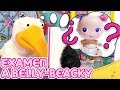 Aprende el lenguaje de los BELLIES! 👶💬 ¿Aprobará Belly-Beaky su EXAMEN?