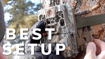 How to Best Set Up CAMERA TRAPS! Tips and Tricks From a Wildlife Biologist