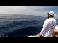 2018 Offshore World Championship | Mauritius Int'l Billfish Release Tournment | Pacific Sailfish