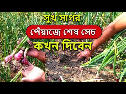 Biz yalangoch jojalarni silkitamiz